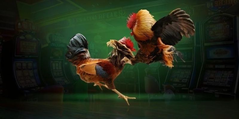 Lợi ích cho mọi người khi tham gia