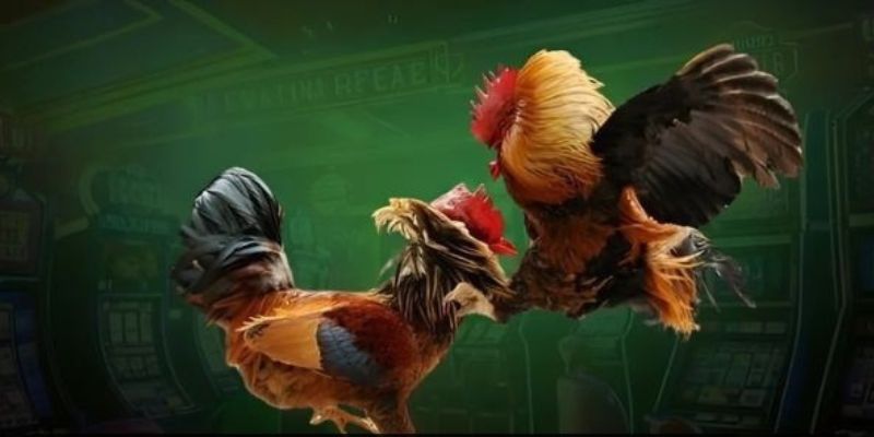 Nhiều người mắc phải sai lầm khi trải nghiệm